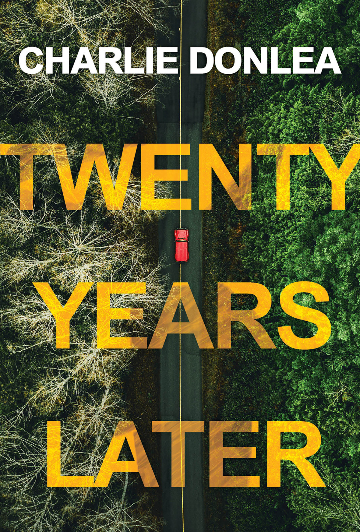 Twenty Years Later A Riveting New Thriller Donlea Charlie