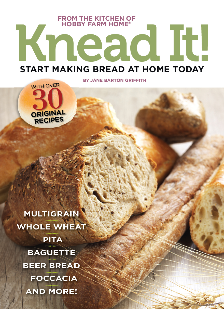 Knead It Jane Barton Griffith