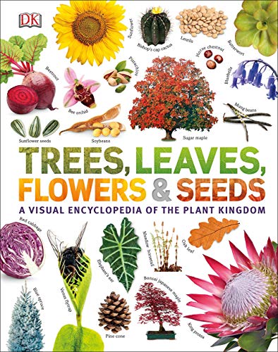 Trees Leaves Flowers And Seeds A Visual Encyclopedia Of The Plant Kingdom Dk
