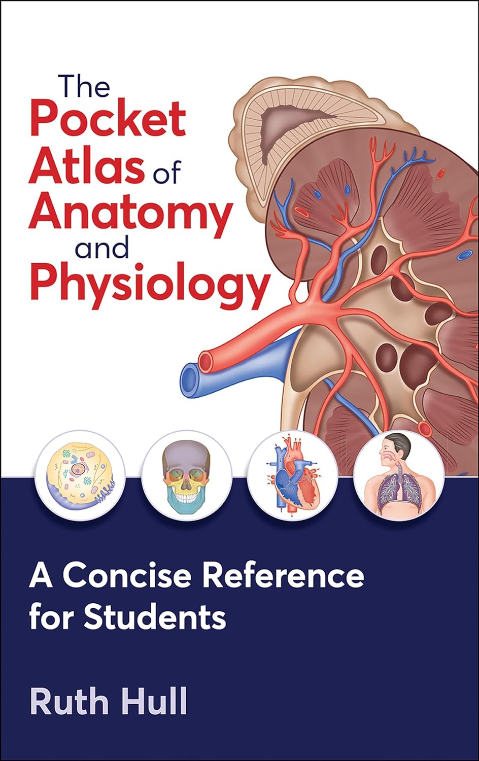 The Pocket Atlas Of Anatomy And Physiology A Concise Reference For Students Ruth Hull