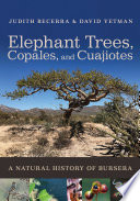 Elephant Trees Copales And Cuajiotes A Natural History Of Bursera Judith X Becerra
