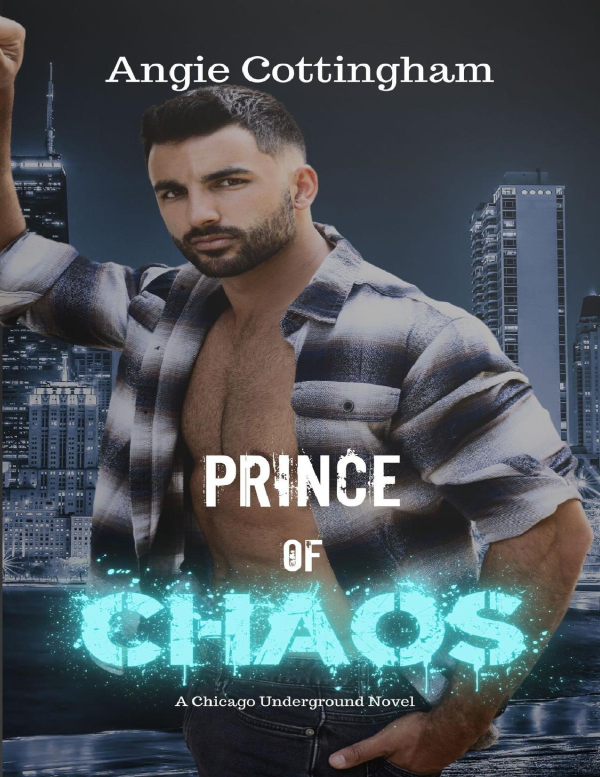 Prince Of Chaos A Chicago Underground Novel The Chicago Underground Book 1 Angie Cottingham