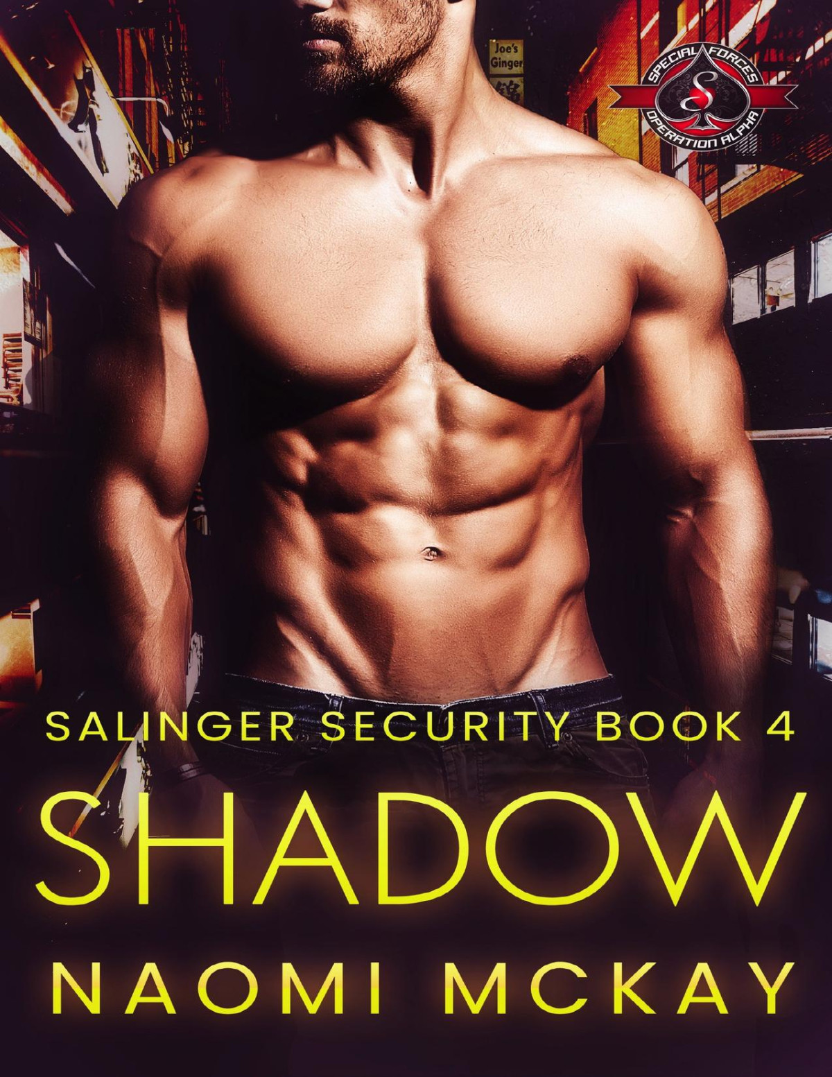 Shadow Special Forces Operation Alpha Salinger Security Book 4 Naomi Mckay Operation Alpha