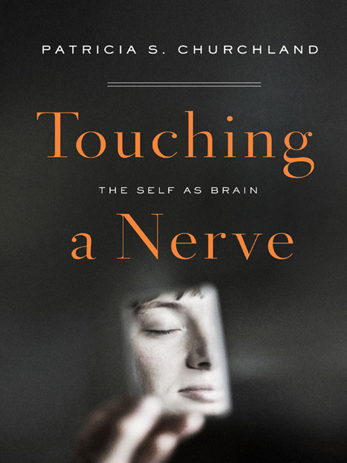 Touching A Nerve Patricia S Churchland