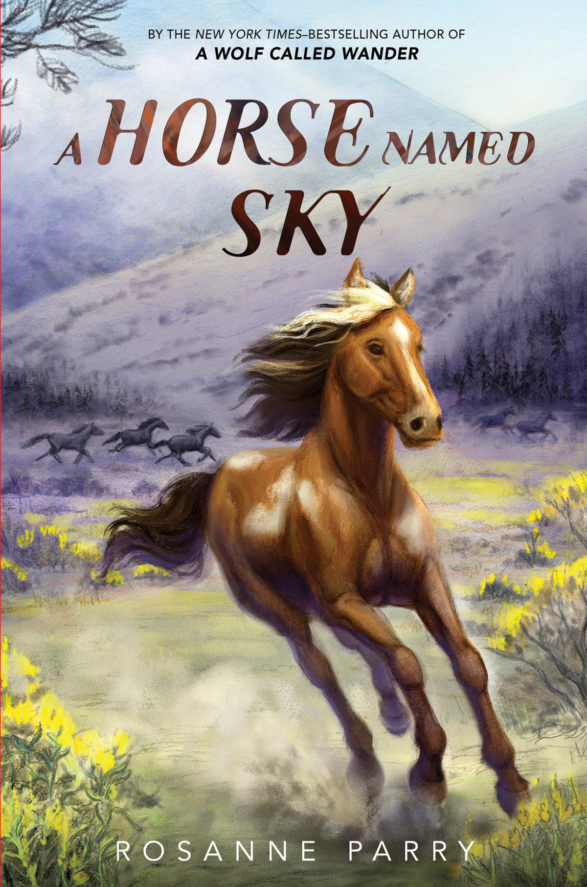 A Horse Named Sky 1st Edition Rosanne Parry