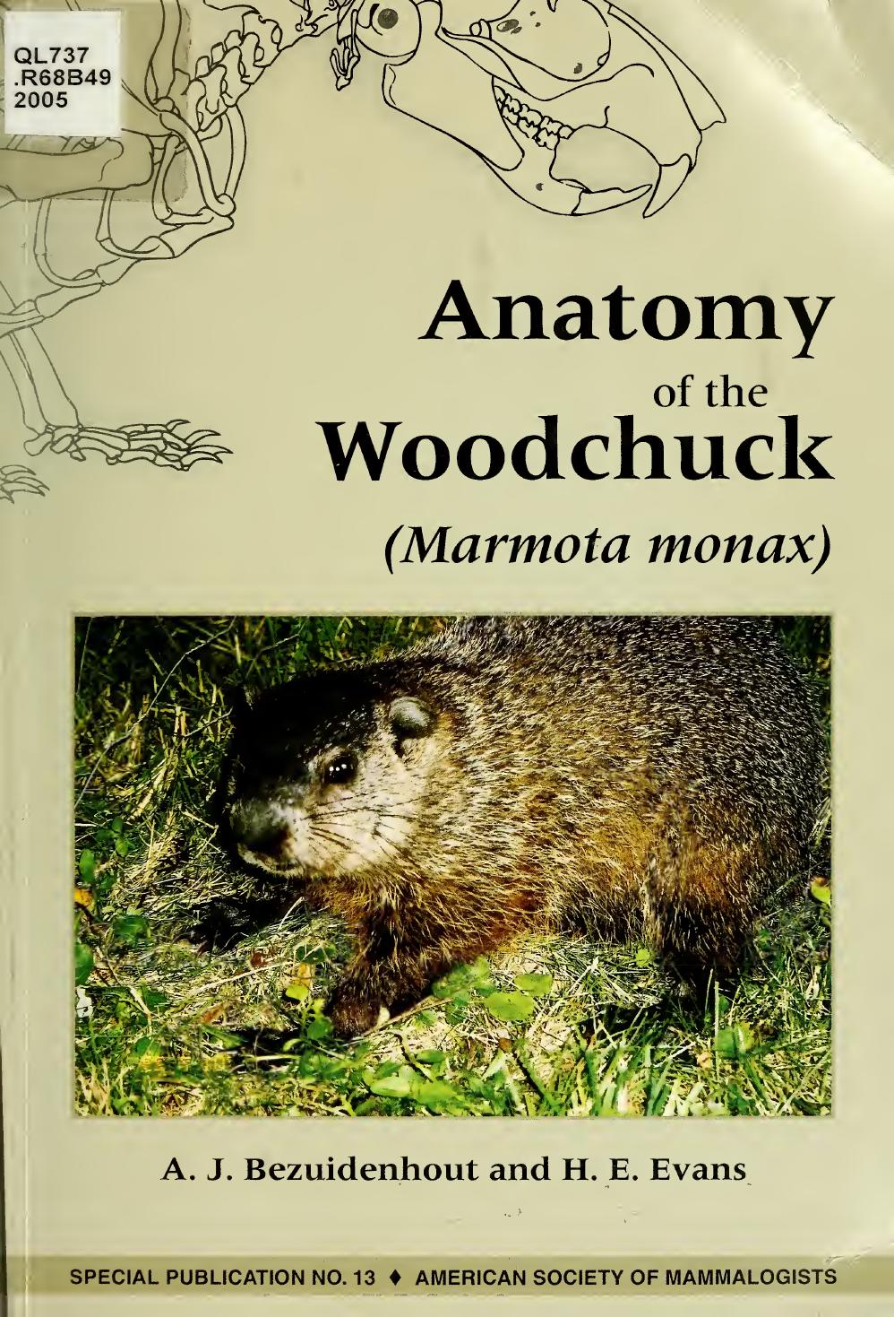 Anatomy Of The Woodchuck Marmota Monax Bezuidenhout A J Abraham Johannes