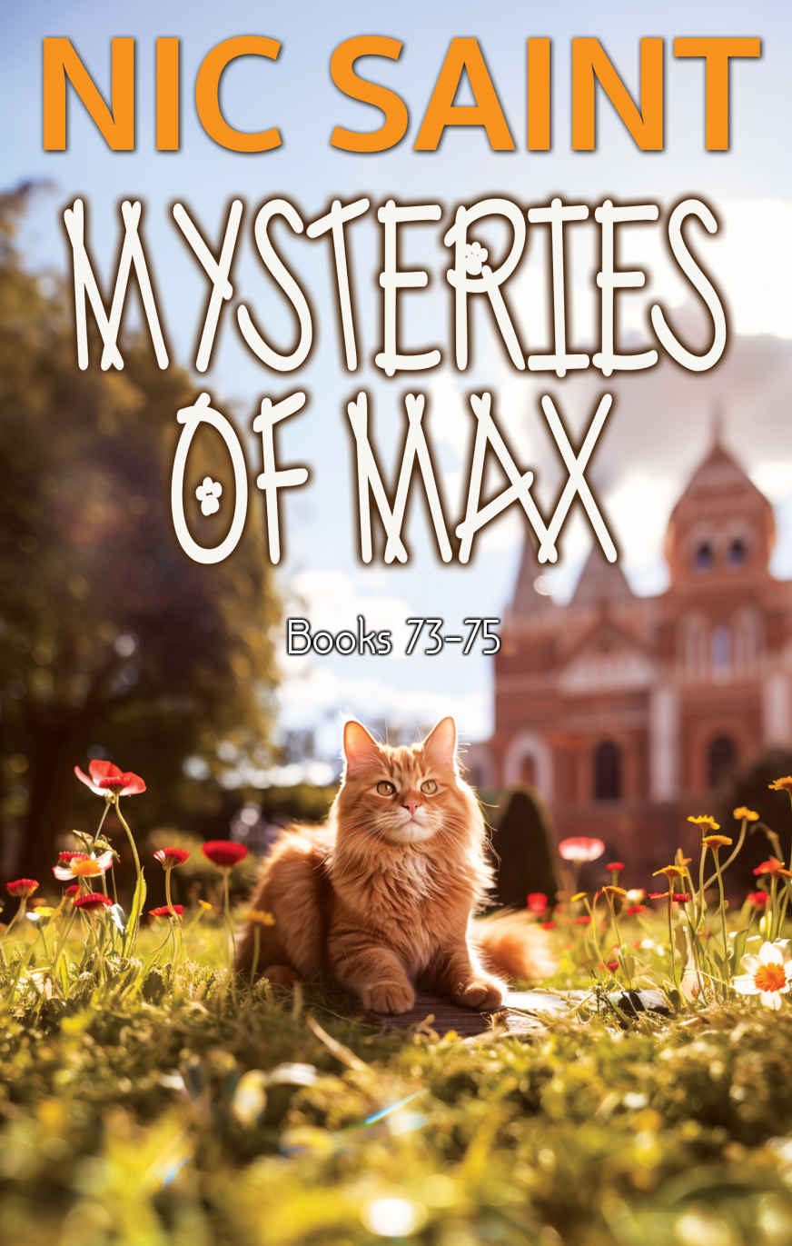 Mysteries Of Max Collection 25 Mysteries Of Max Books 7375 Saint