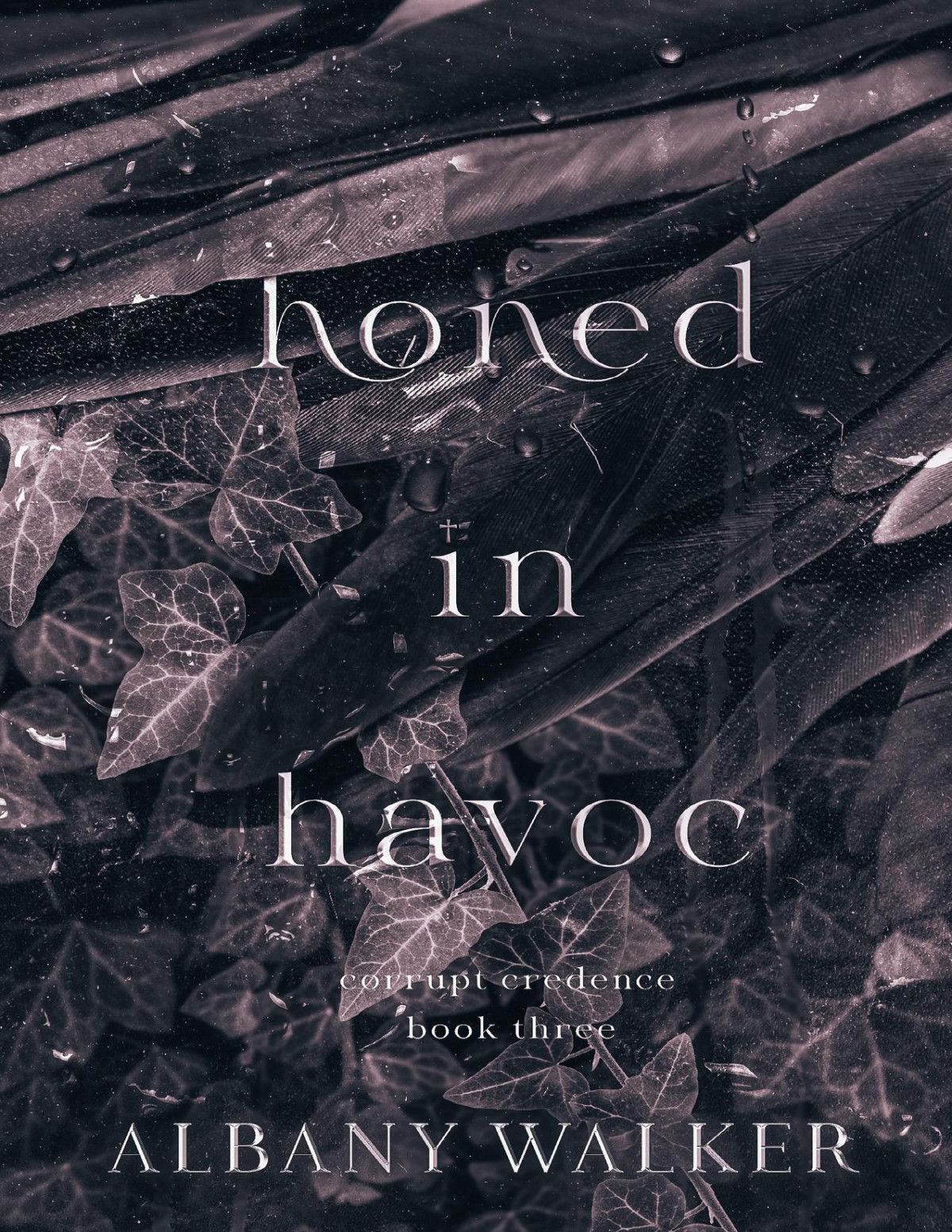 Honed In Havoc Corrupt Credence Book 3 Walker Albany