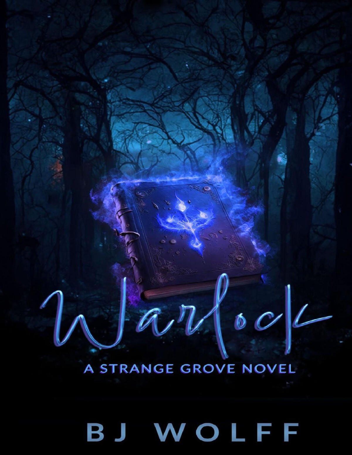 Warlock A Strange Grove Novel Bj Wolff