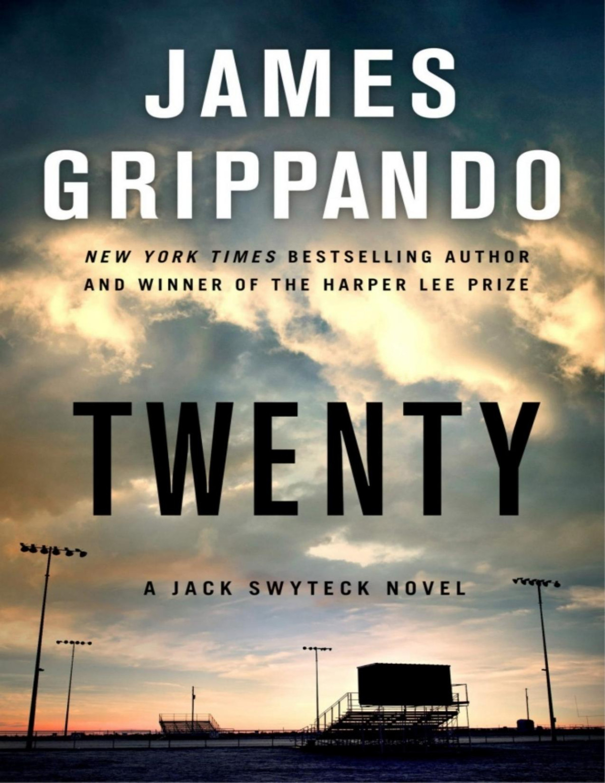 Twenty A Jack Swyteck Novel James Grippando