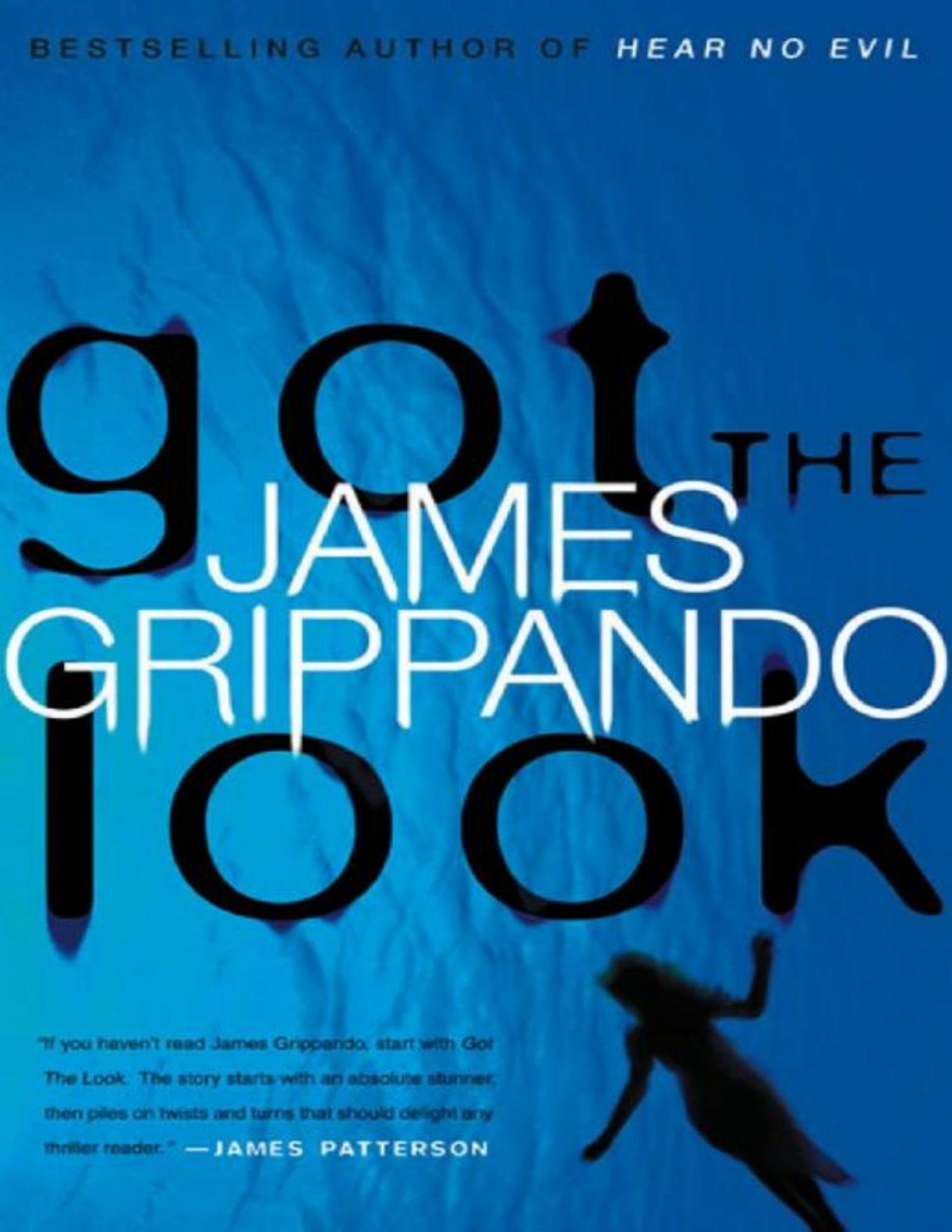 Got The Look James Grippando