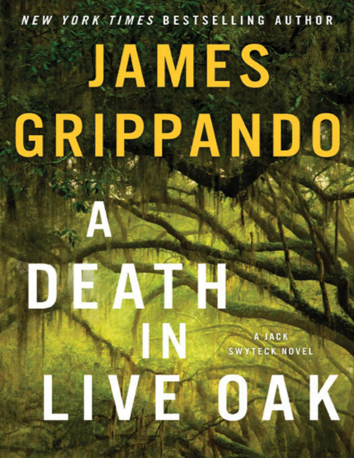 A Death In Live Oak A Jack Swyteck Novel 19th Edition Grippando