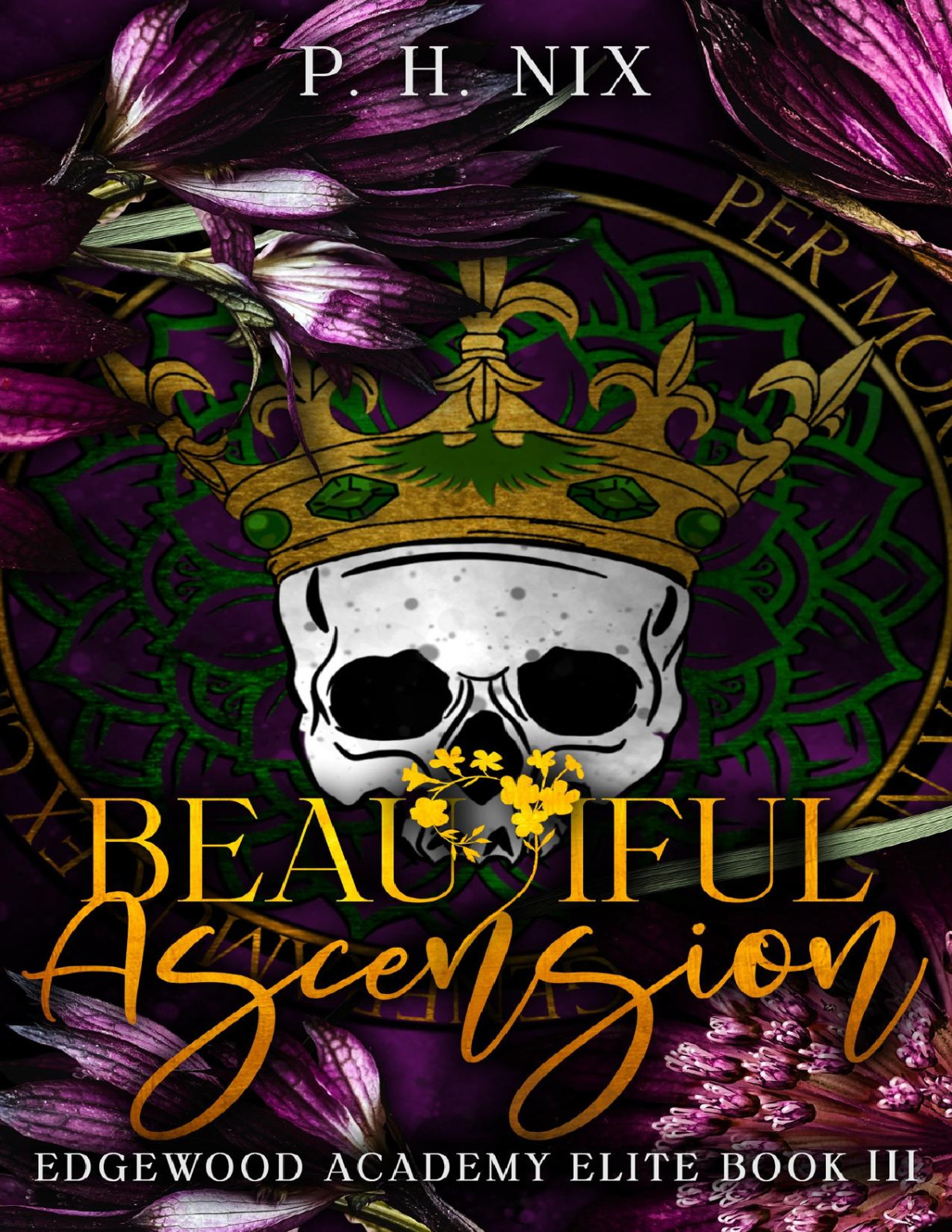 Beautiful Ascension Dark College Romance Edgewood Academy Elites Book 3 Ph Nix