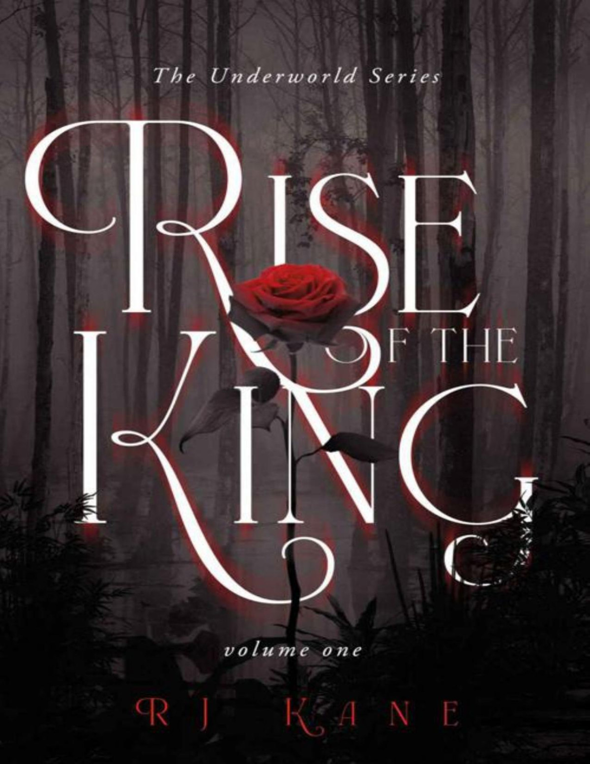 The Underworld Series Rise Of The King Volume One Rj Kane