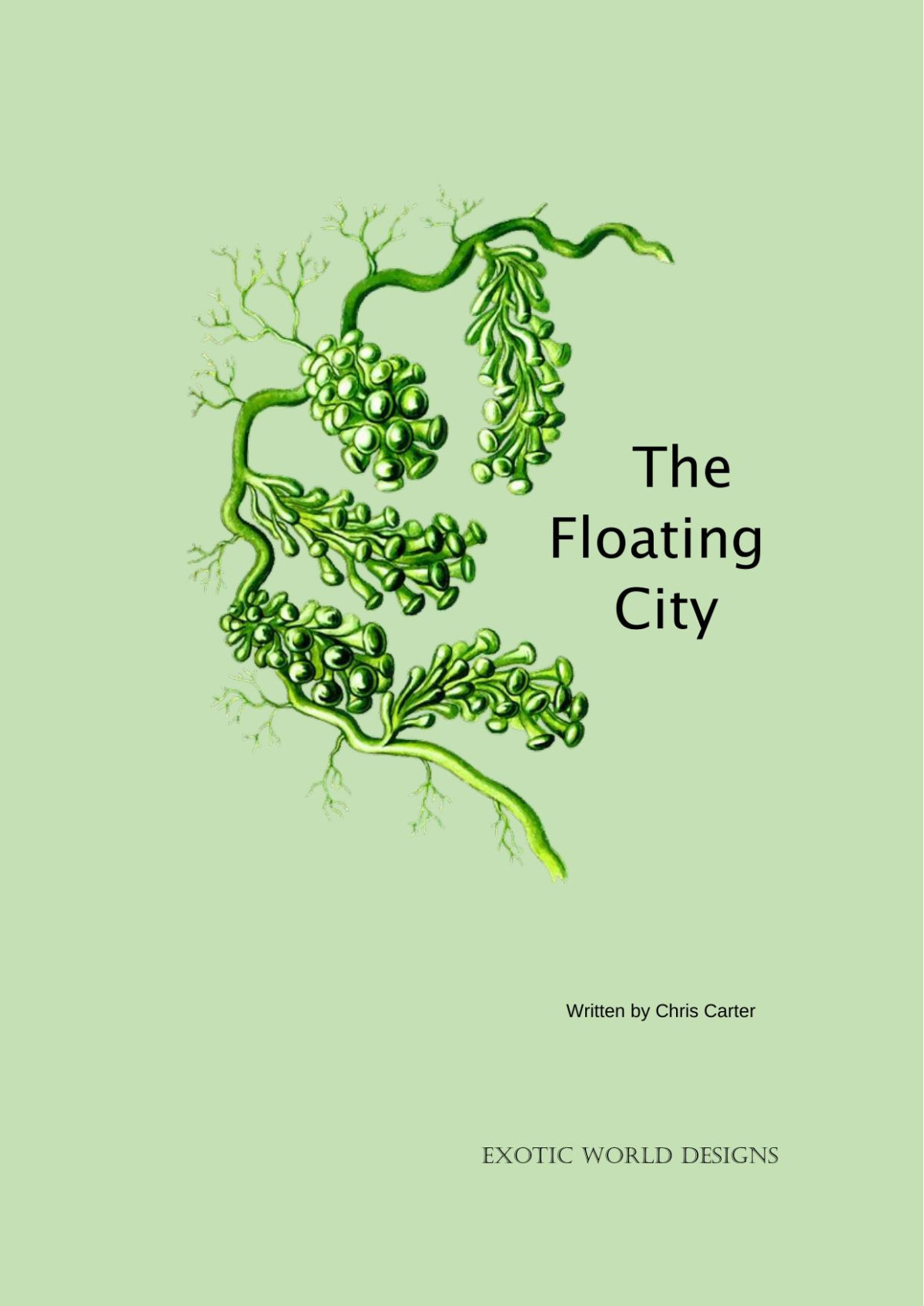 Apocalypse Essentials The Floating City Chris Carter