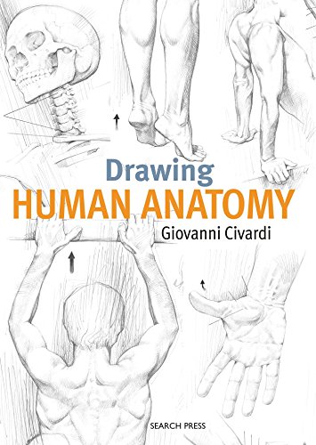 Drawing Human Anatomy Illustrated Civardi Giovanni