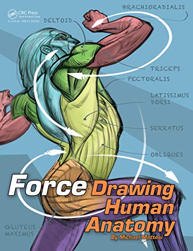 Force Drawing Human Anatomy Force Drawing Series 1st Edition Mattesi