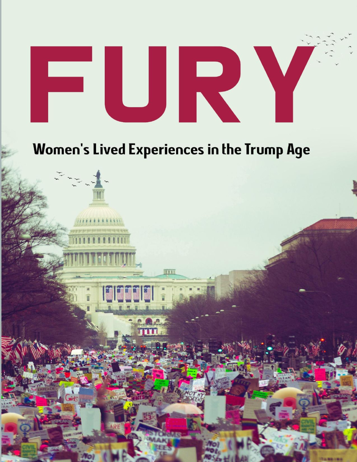 Fury Alissa Hirshfeldflores Amy Roost