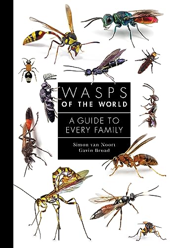 Wasps Of The World A Guide To Every Family A Guide To Every Family 8 Noort