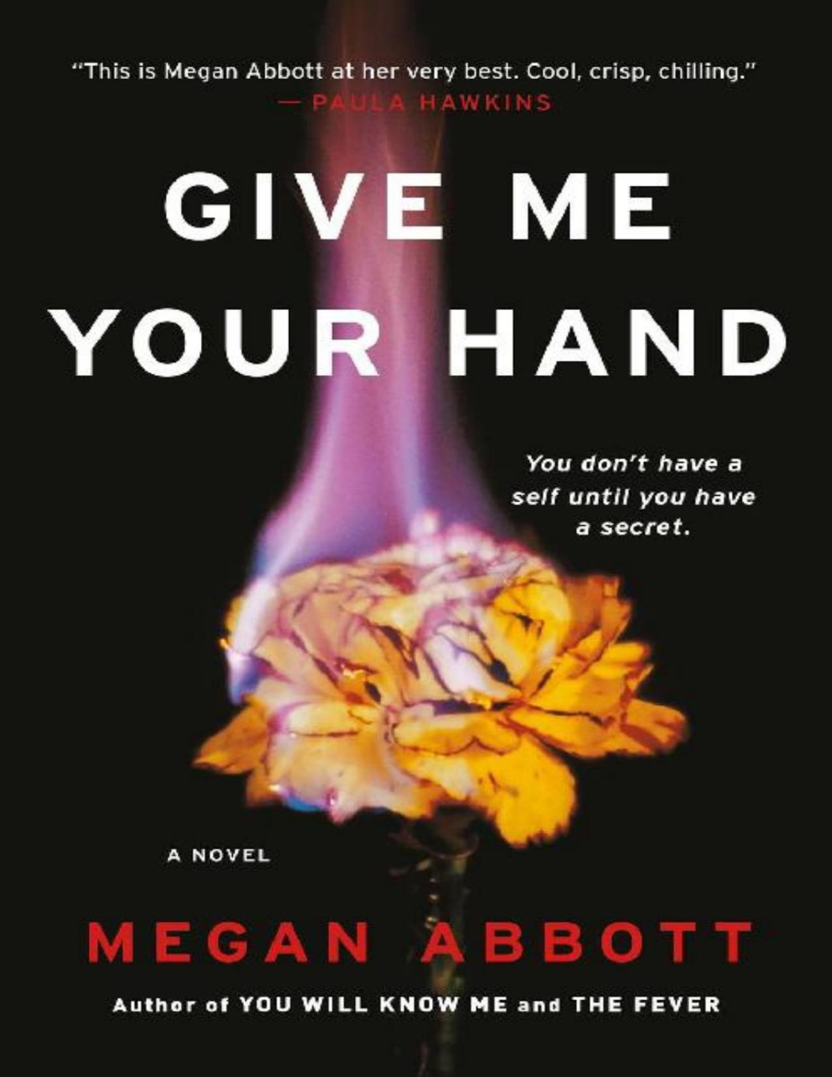 Give Me Your Hand Megan Abbott