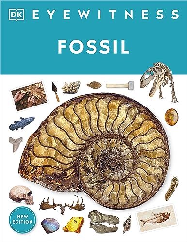 Eyewitness Fossil Dk Eyewitness Paul D Taylor