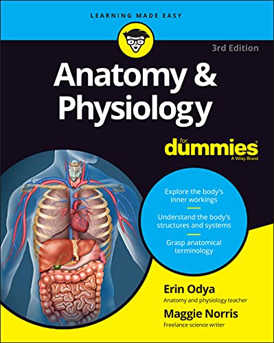 Anatomy Physiology For Dummies 2nd Edition 2nd Odya Erin Norris