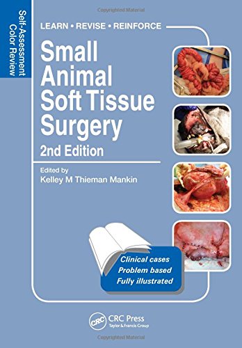 Small Animal Soft Tissue Surgery Selfassessment Color Review Second Edition Veterinary Selfassessment Color Review Series 2nd Edition Kelley Thieman Mankin