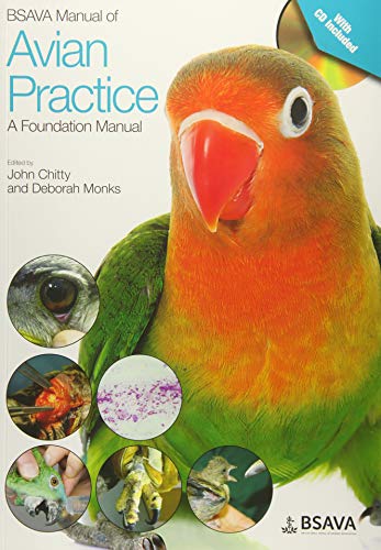Bsava Manual Of Avian Practice A Foundation Manual Bsava British Small Animal Veterinary Association 1st Edition John Chitty
