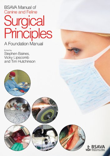 Bsava Manual Of Canine And Feline Surgical Principles A Foundation Manual 1st Edition Stephen Baines