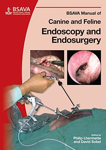 Bsava Manual Of Canine And Feline Endoscopy And Endosurgery 1st Edition Philip Lhermette