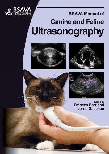 Bsava Manual Of Canine And Feline Ultrasonography 1st Edition Frances J Barr