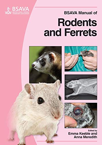 Bsava Manual Of Rodents And Ferrets 1st Edition Emma Keeble Anna Meredith