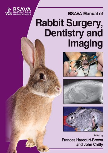 Bsava Manual Of Rabbit Surgery Dentistry And Imaging 1st Edition Harcourtbrown