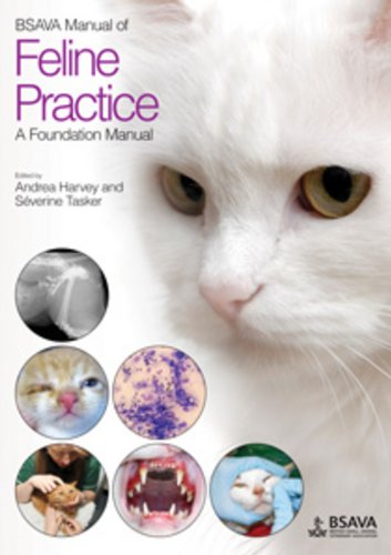 Bsava Manual Of Feline Practice A Foundation Manual 1st Edition Harvey