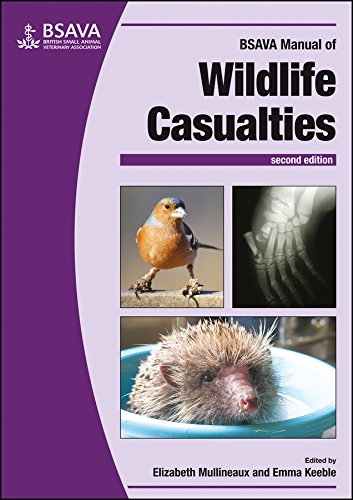 Bsava Manual Of Wildlife Casualties Bsava British Small Animal Veterinary Association 2nd Edition Elizabeth Mullineaux