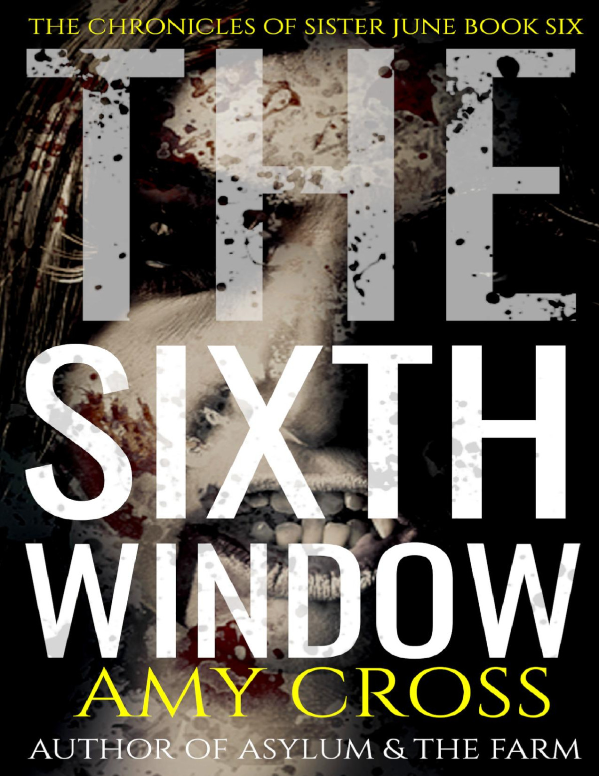 The Sixth Window The Chronicles Of Sister June Book 6 Amy Cross