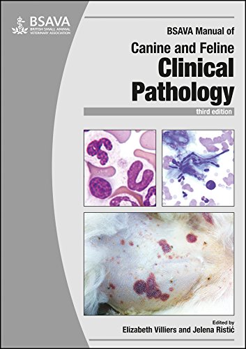 Bsava Manual Of Canine And Feline Clinical Pathology Bsava British Small Animal Veterinary Association 3rd Edition Elizabeth Villiers