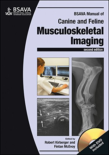 Bsava Manual Of Canine And Feline Musculoskeletal Imaging 1st Edition Robert M Kirberger