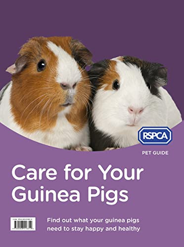 Care For Your Guinea Pigs Rspca Pet Guide New Edition Rspca