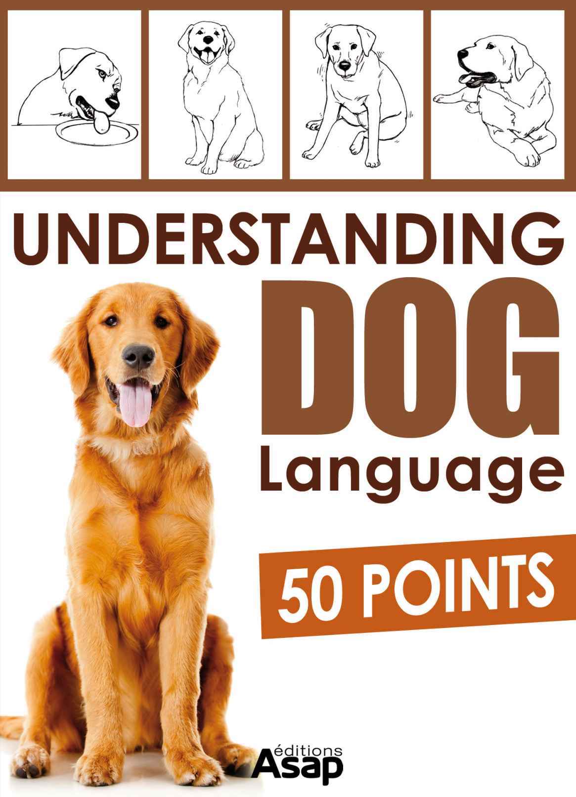 Understanding Dog Language 50 Points Aude Yvans