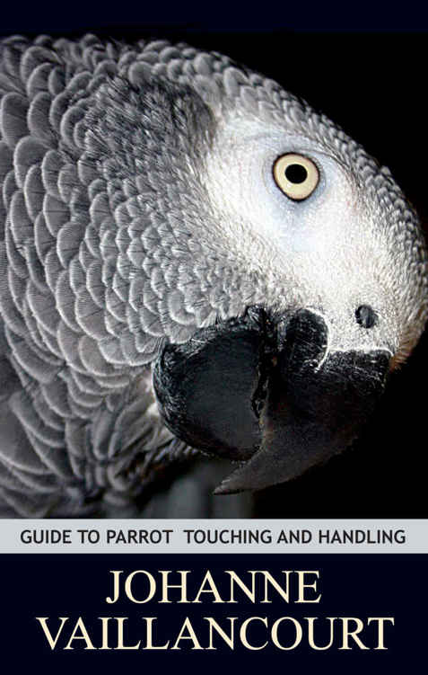 Guide To Parrot Touching And Handling Johanne Vaillancourt