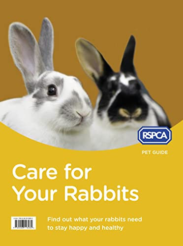 Care For Your Rabbits Rspca Pet Guide Uk Ed Rspca