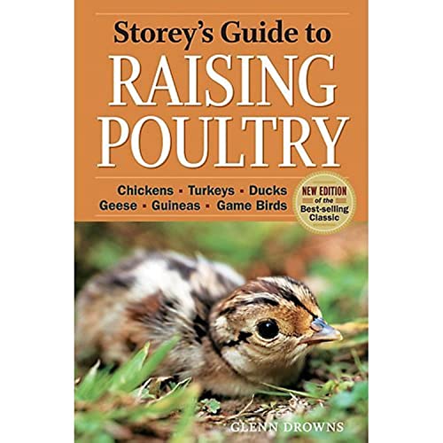 Storeys Guide To Raising Poultry Paperback Book Fourth Drowns