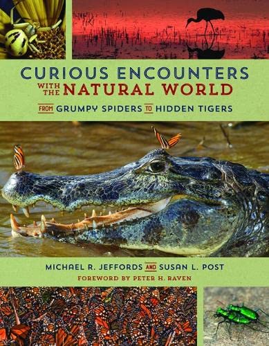 Curious Encounters With The Natural World From Grumpy Spiders To Hidden Tigers Illustrated Jeffords
