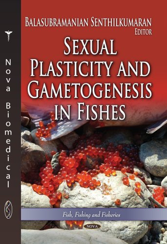 Sexual Plasticity And Gametogenesis In Fishes Fish Fishing And Fisheries Marine Biology Uk Ed Balasubramanian Senthilkumaran
