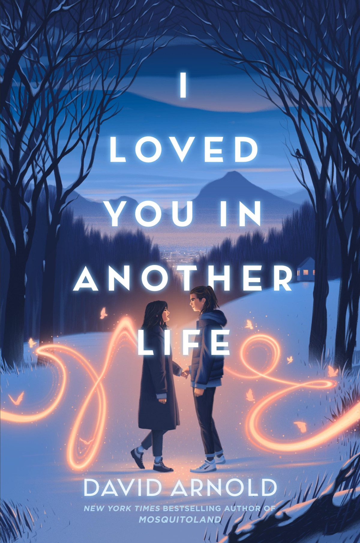 I Loved You In Another Life David Arnold