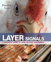 Layer Signals A Practical Guide For Layer Focused Management Monique Bestman