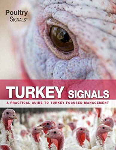 Turkey Signals A Practical Guide To Turkey Focused Management Edward Mailyan