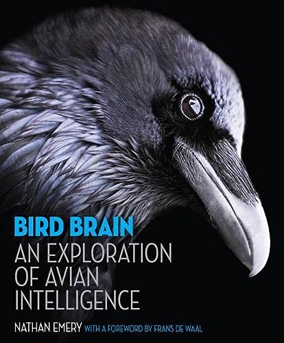 Bird Brain An Exploration Of Avian Intelligence Illustrated Emery