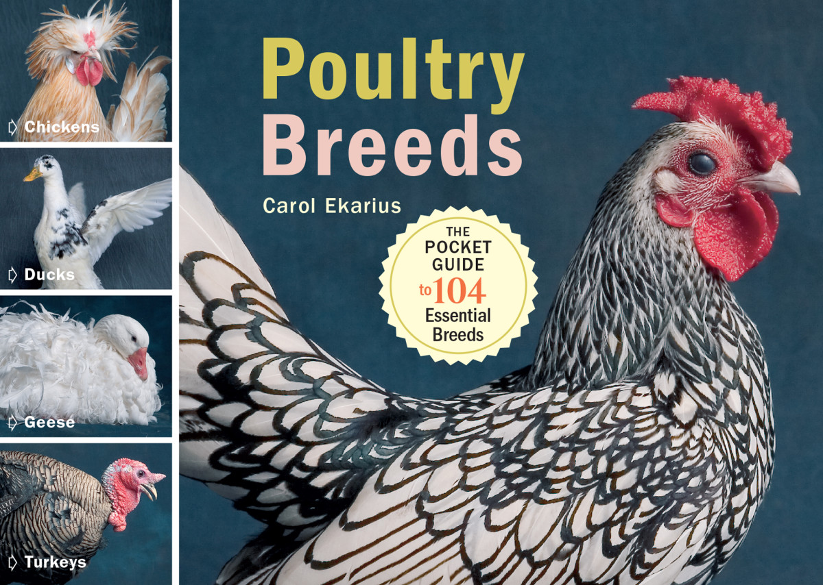 Poultry Breeds Carol Ekarius
